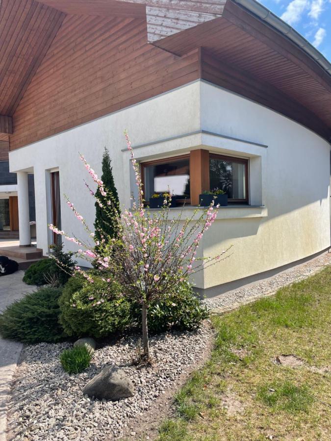 Apartament Przy Lesie Chojno-Blota Wielkie Exterior photo